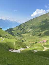 Oldest Cogwheel Railway experience