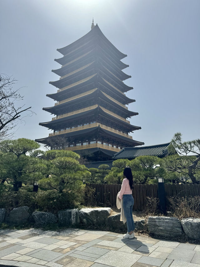 벚꽃피는 계절에 방문하기 좋은 경주 황룡원