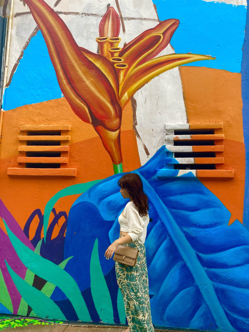 マレーシア】街中カラフルなアートストリート🇲🇾🎨🌈(Kuala Lumpur