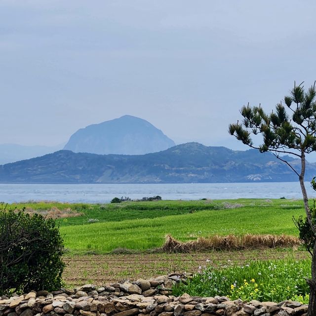 푸릇푸릇한 제주의 봄날, 가파도☘️