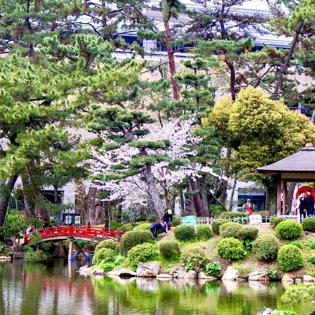 🌸 Immerse Yourself in Sakura Splendor: Shukkei-en Garden, a Tranquil Oasis in Hiroshima! 🍃🏯✨