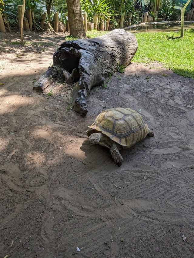 Adelaide Zoo