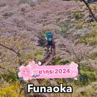 ทีมซากุระสงกรานต์ที่ภูมิภาค Tohoku (Funaoka)