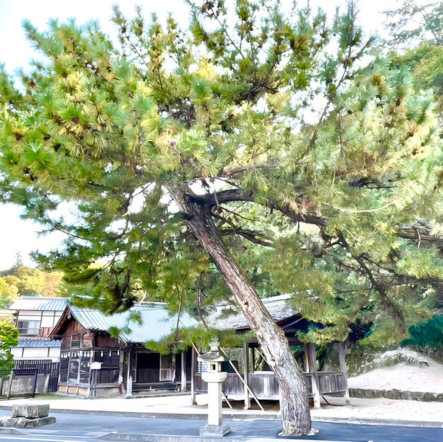 【長浜神社/広島県】砂浜に立つ絶景の神社