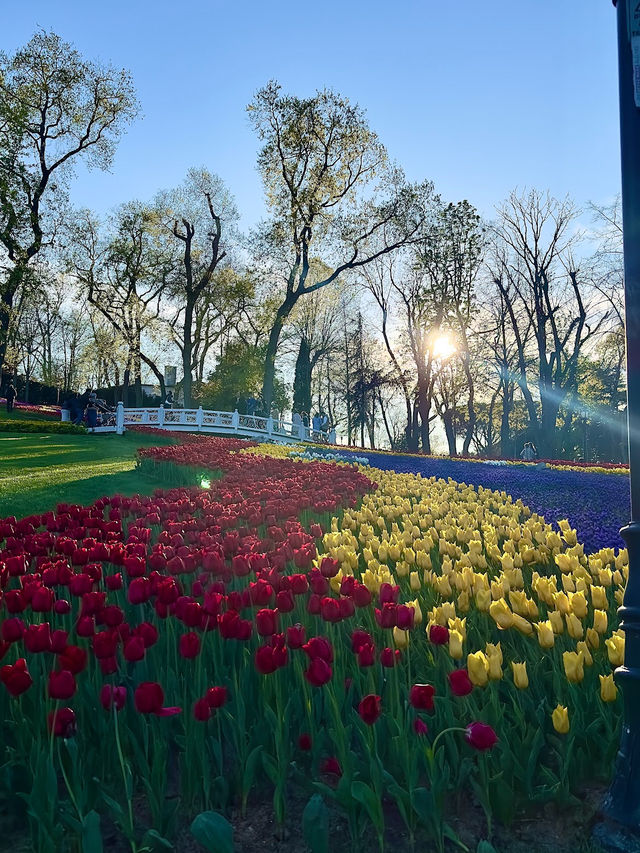 Emirgan Tulip Gardens