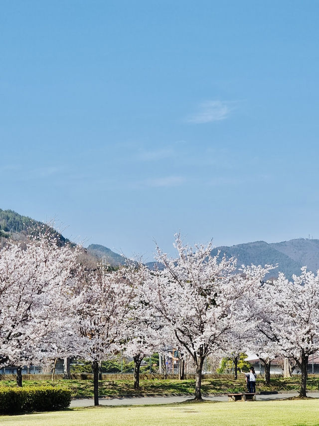 Jōyama Park 