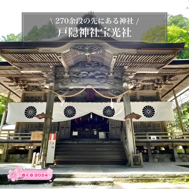 【戸隠神社宝光社/長野県】270余段の先にある神社 
