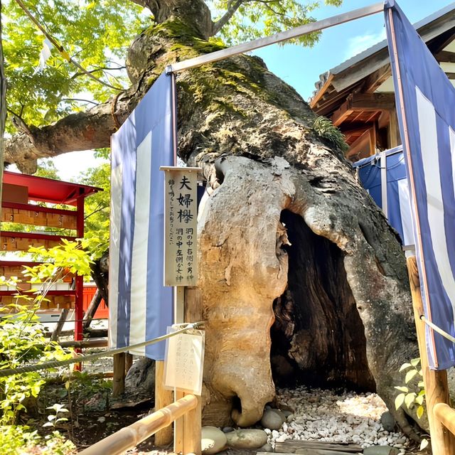 【生島足島神社/長野県】神池に囲まれた素晴らしい景観