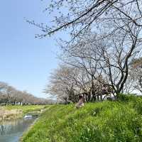 日本九州｜日本的公園總是令人著迷😍