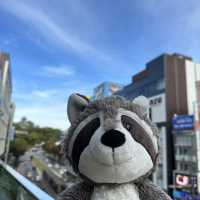 熊本市一天遊正式開始🥰