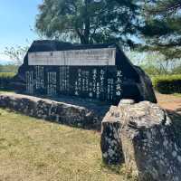 【岩手】東北で人気の桜の名所🌸