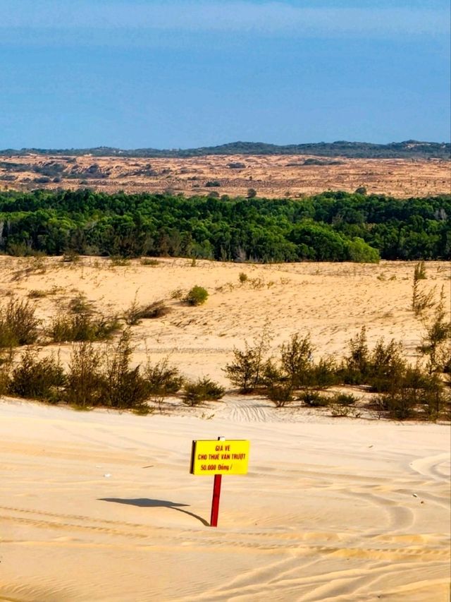 베트남의 샌프란시스코🏜