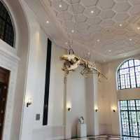 新加坡藝術博物館：獨特建築，必游景點
