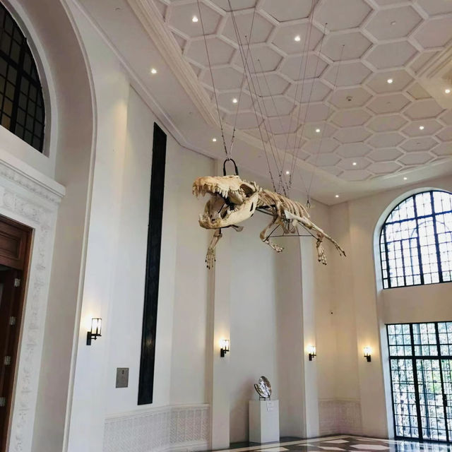 新加坡藝術博物館：獨特建築，必游景點