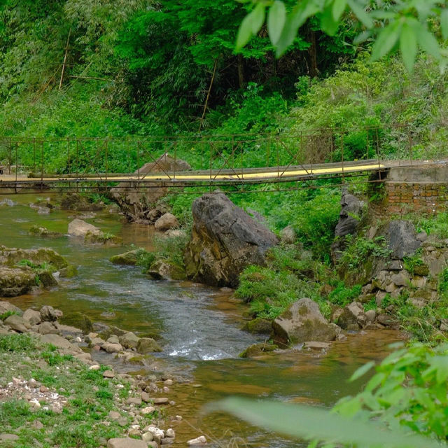 吉野熊野國立公園：壯闊樹林、豐富生態