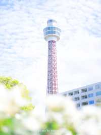 【神奈川】海が隣にあるローズガーデン