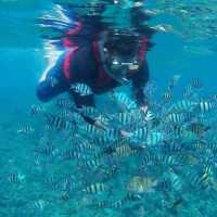Paradise Found: Perhentian Island Adventure