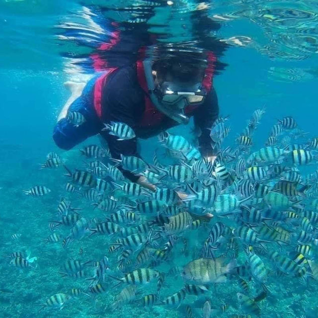 Paradise Found: Perhentian Island Adventure