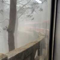 อุทยานแห่งชาติอาลีซาน นั่งรถไฟชมวิวป่าสนพันปี