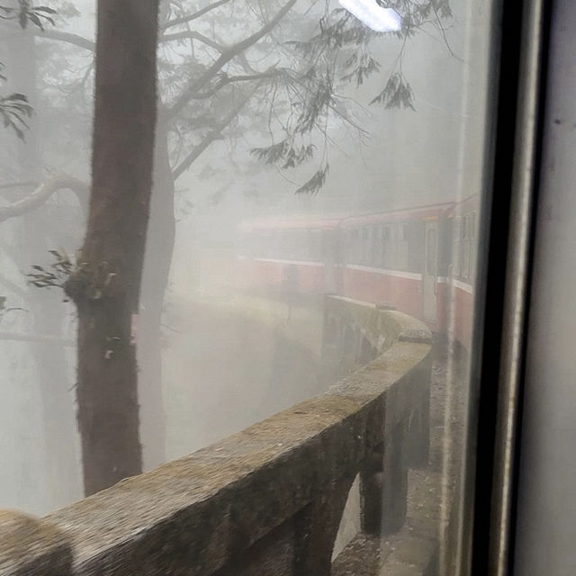 อุทยานแห่งชาติอาลีซาน นั่งรถไฟชมวิวป่าสนพันปี