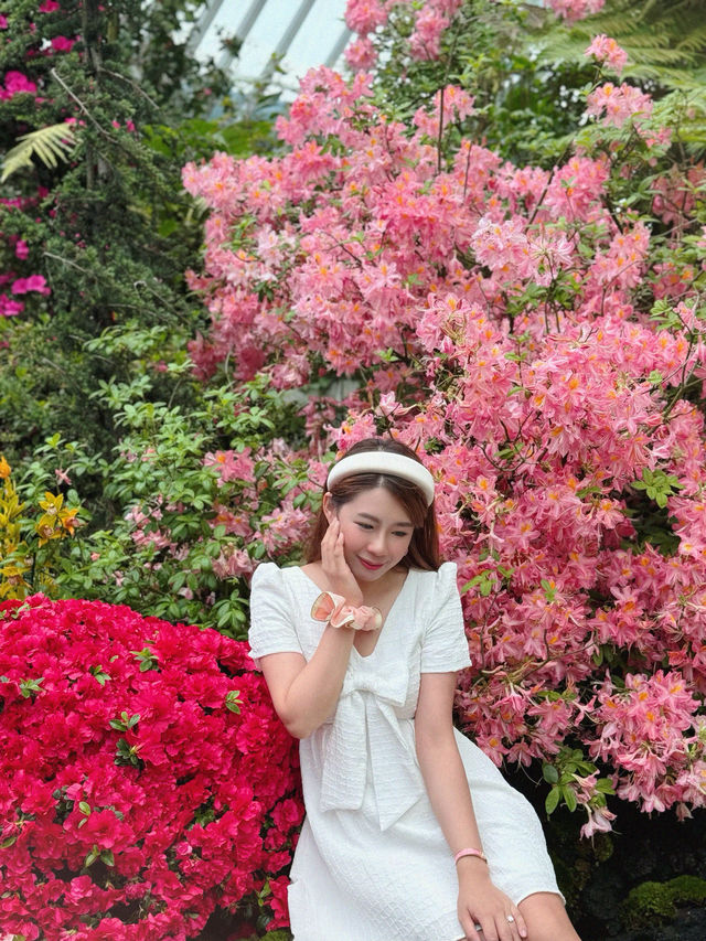 新加坡巨型溫室花園！400,000棵特色植物打卡！