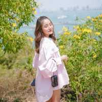 City Coffee Pattaya