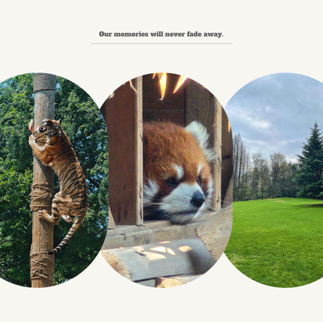 深圳野生動物園：珍稀動物