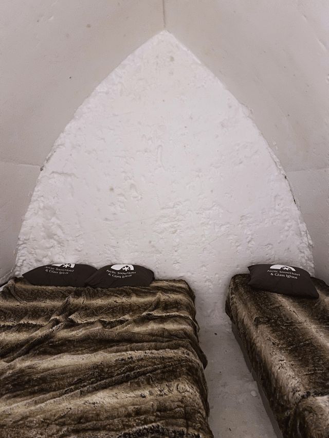🇫🇮 芬蘭全冰雪砌成酒店｜五感冰凍食宿酒吧全體驗