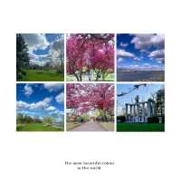 「Bushy Park⛲️歷史底蘊、自然景緻」