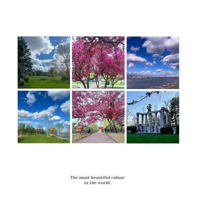 「Bushy Park⛲️歷史底蘊、自然景緻」