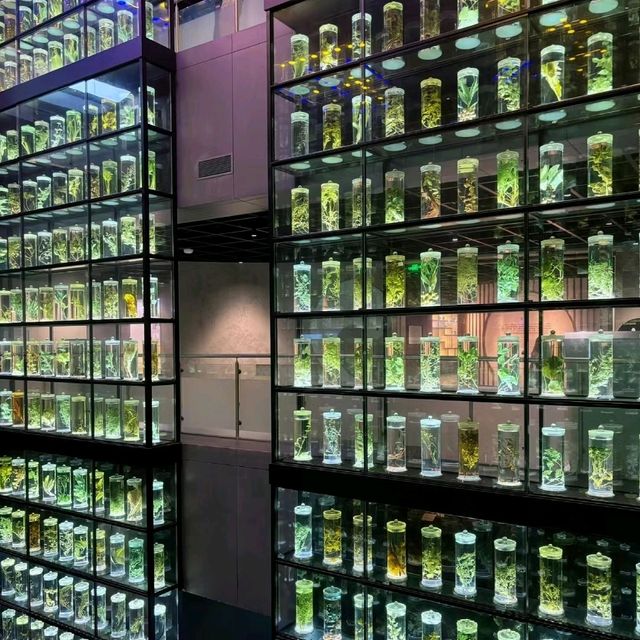 ✨廣州~廣東中醫藥博物館✨
