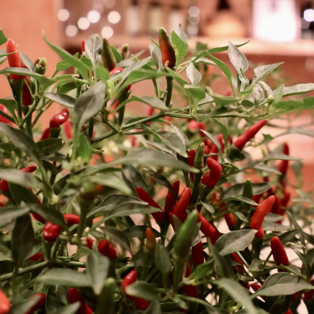 Culinary Extravaganza: Biscotti at Anantara Siam Bangkok"