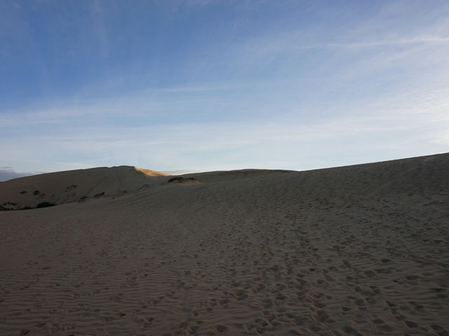 Te Paki Sand Dunes