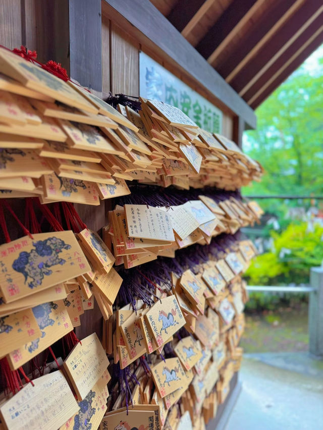 【群馬】戌・亥年の方に行ってほしい!!御朱印がかわいい🤍紫陽花見頃なパワスポ✨