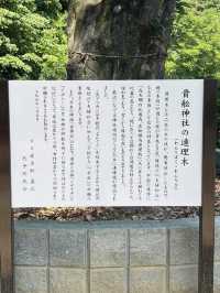 【福岡神社】線路沿いにある小さな趣のある神社