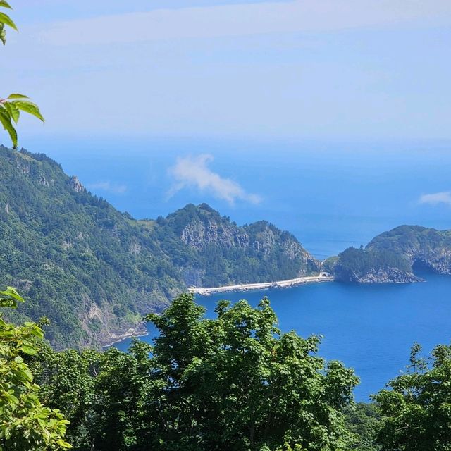 신비의 섬, 울릉도🏝 가는법