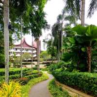Tropical Paradise