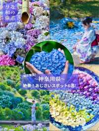 〜神奈川県〜穴場〜ライトアップまで！紫陽花スポット6選！