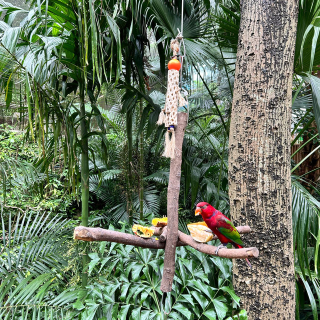 金融中心鬧市中的綠洲 - 香港公園