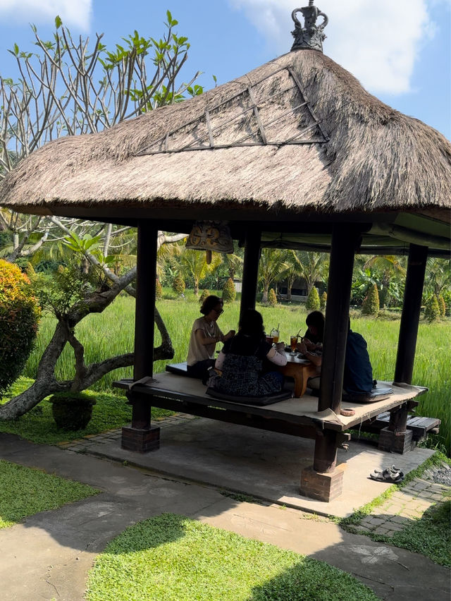 インドネシア🇮🇩バリ島✨ウブドのレストラン🌿🍽️
