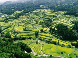 吉信梯田