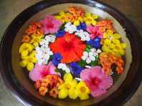【宮古島】南国のお花がいっぱいユートピアファーム🌺