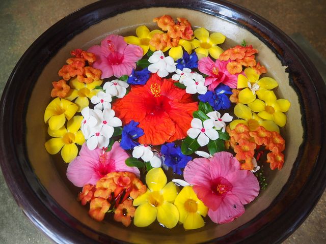 【宮古島】南国のお花がいっぱいユートピアファーム🌺