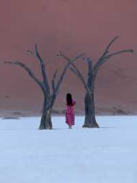 📍 Deadvlei