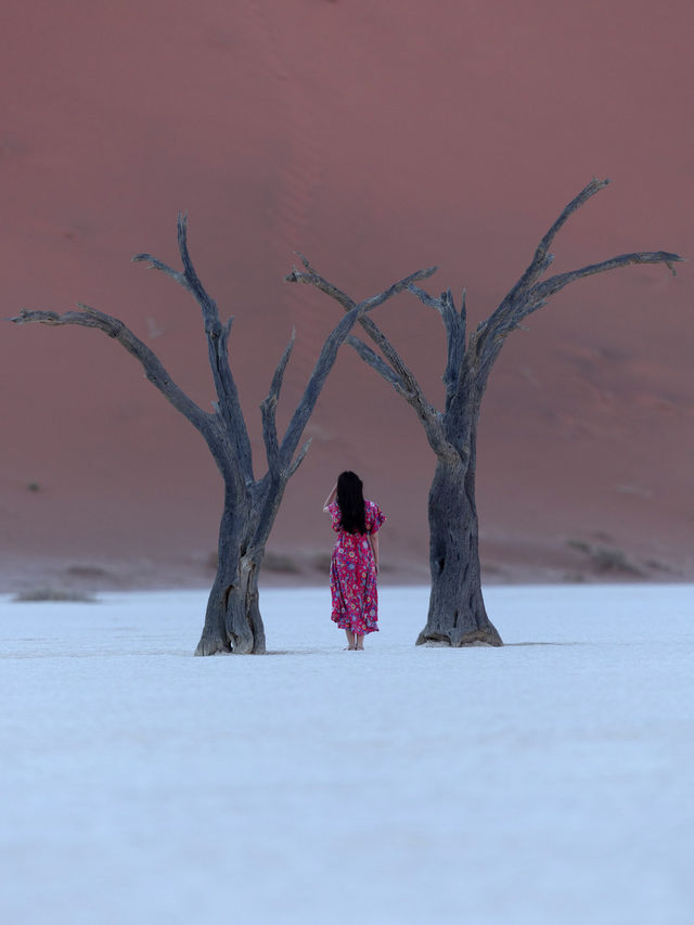 📍 Deadvlei