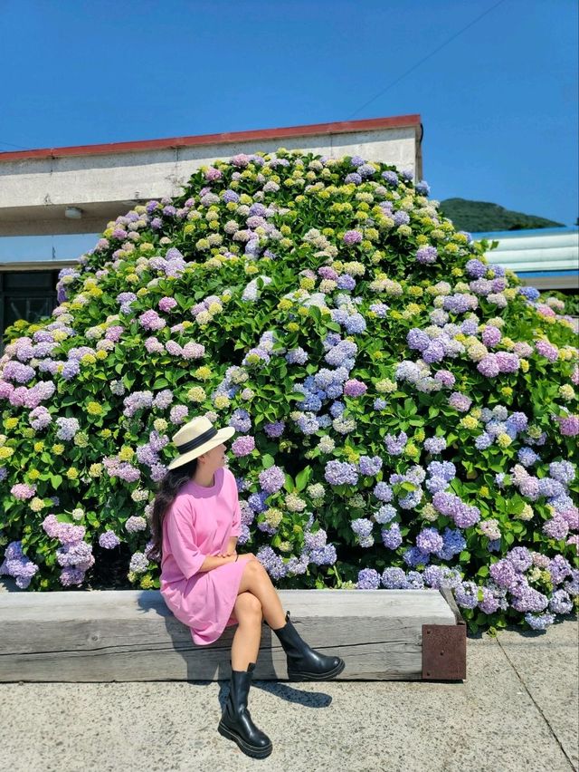 거제도에서 가장 유명한 대문집은 여기💙