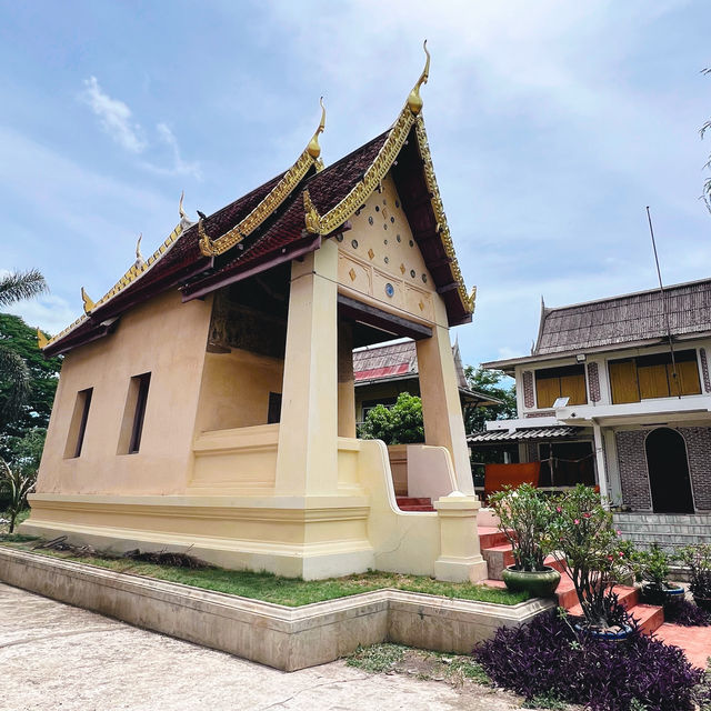วัดม่วง