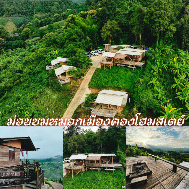 ม่อนชมหมอกเมืองคองโฮมสเตย์