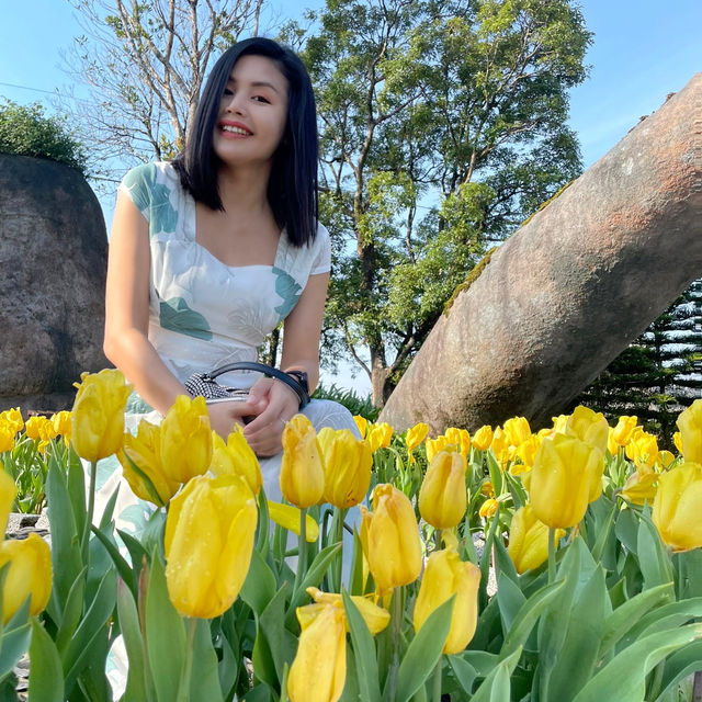 ดานัง