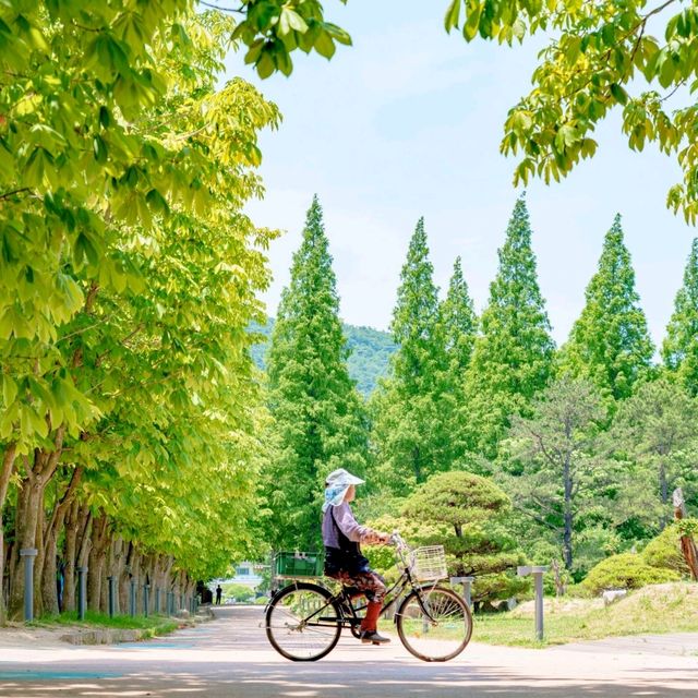 경주의 비밀의 숲, 천년숲정원